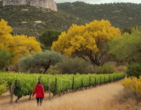 Wetter Mallorca November – Ideale Reisezeit?