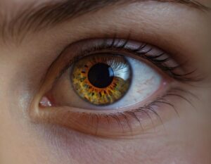 Skorpion Eigenschaften » Interessante Einblicke